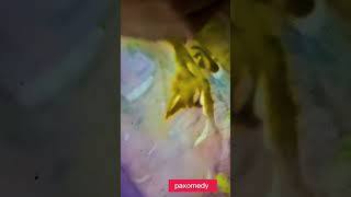 You Can Do Anything With Your Artistic Talent