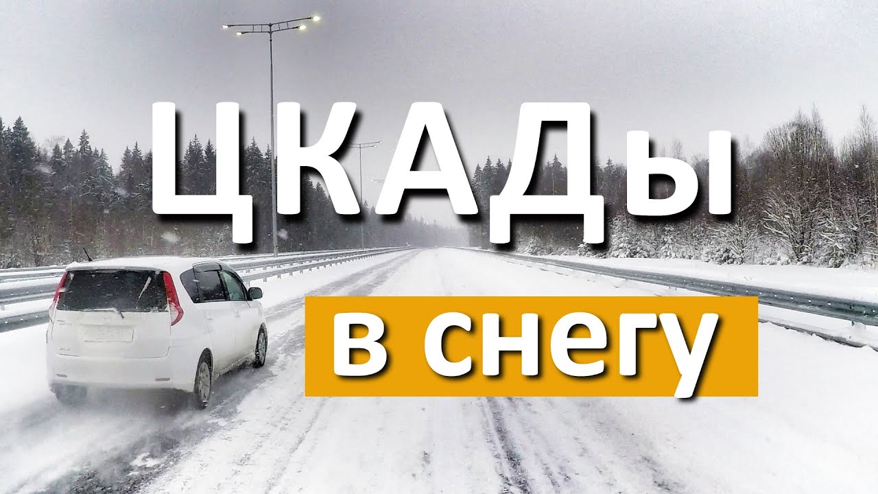 Цкад платный для москвичей