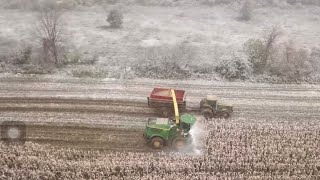 Last day Chopping Silage 2020