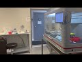 No Supervision Needed: Xpeedy A20's Complete Automation for Sample Prep | Real Lab Footage!