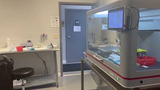 No Supervision Needed: Xpeedy A20's Complete Automation for Sample Prep | Real Lab Footage!