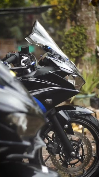Cinematic r25 hedon