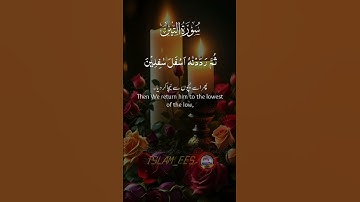 سورة_التين #قرآن #quran #قران_كريم #اكسبلور #تيك_توك #صباح_الخير #راحة_نفسية