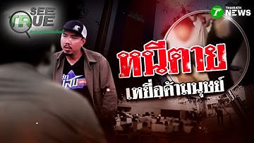 หนีตาย เหยื่อค้ามนุษย์ | EP.75 | 18 ต.ค. 68 | SEE TRUE | ข่าวแสบเฉพาะกิจ