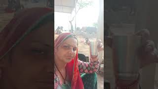 mini vlog 🥰#minivlog #villagelife #viralvideo #viralshort #vlogger #shortsviral @PriyaMeenaVlogs-i2c