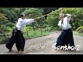Sansho 2 Jo Kata Introduction To Chiba Sensei S Weapons System 9 