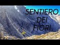 Ferrata Sentiero dei Fiori - Gruppo dell'Adamello