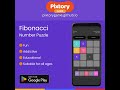 Fibonacci Number Puzzle