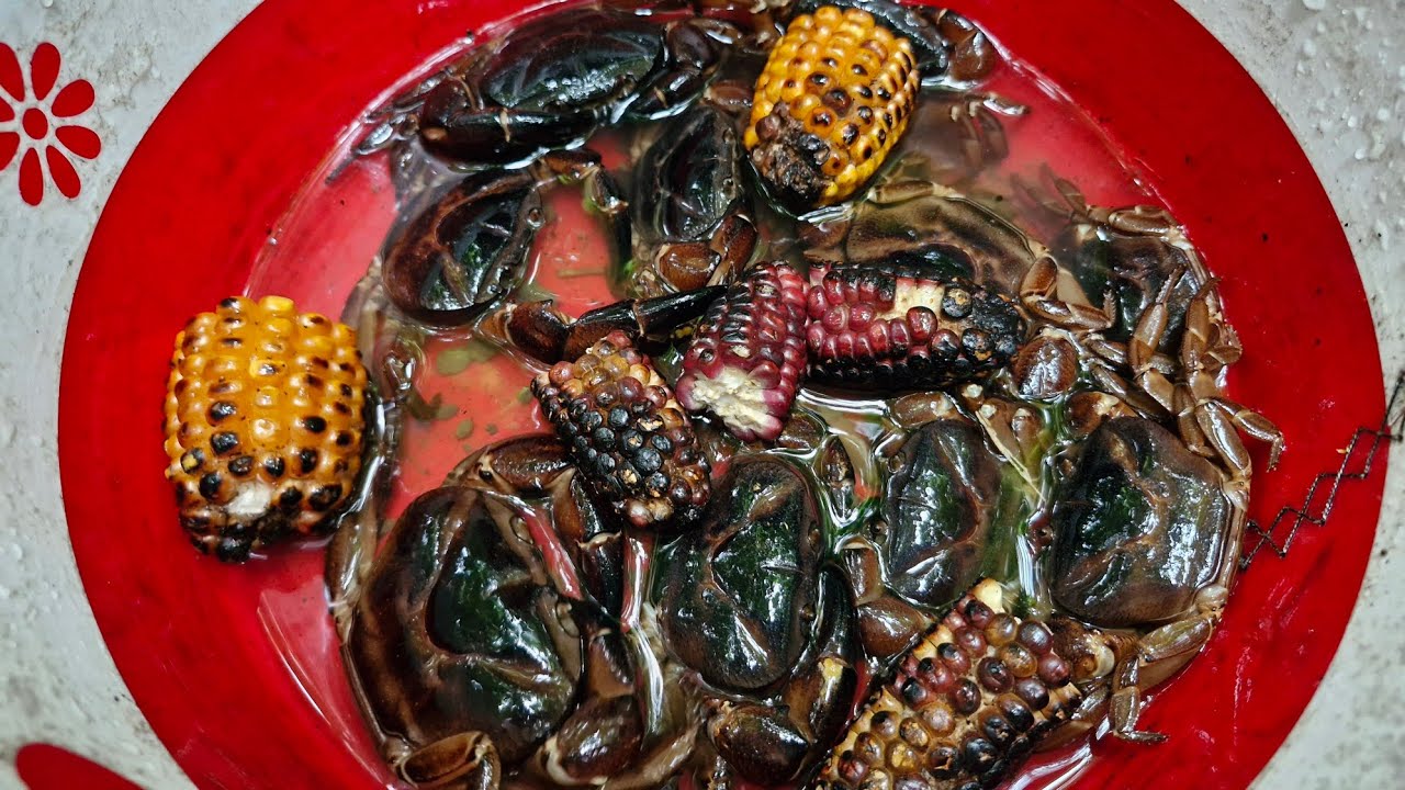 Record kan khum leh nghal e| Aiawt en vawi 4-na🦀🦀🦀