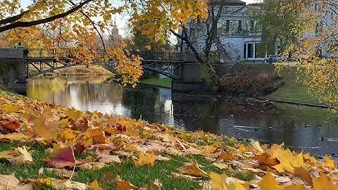 آيات من سورة الزمر للقارئ ماجد العقل