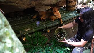 Knitting Bamboo Baskets, Stream Fishing, Wild Food, Catch and Cook: Survival Alone | EP.256