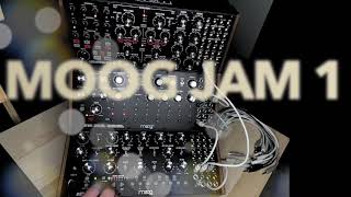 Richard Patrick MOOG JAM 1