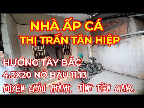 Video TẬP 204:BÁN NHÀ ẤP CÁ, THỊ TRẤN TÂN HIỆP, CHÂU THÀNH,... - youtube
