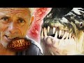 Tigerfish Compilation | COMPILATION | River Monsters