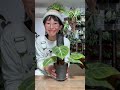 元気に大きく育てよう!