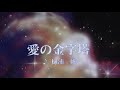 カラオケ 愛の金字塔/樋浦一帆