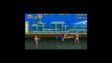 Double Dragon 3 The Rosetta Stone Arcade