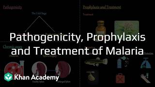 Pathogenecity, Prophylaxis and Treatment of Malaria | Biology in Human Welfare | Class 12 | Zoology