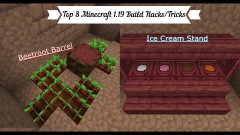 Top 8 Minecraft 1.19 Build Hacks/Tricks