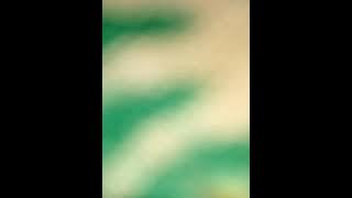 Paul Paw_Tunggu 3 bulan