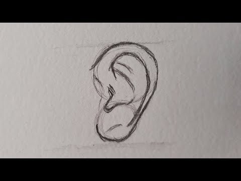 Kulak Nasıl Çizilir - Teknik Anlatım | How to draw a ear - Drawing Technique