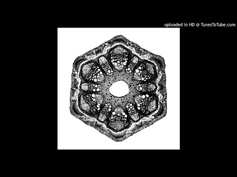 Odd Lust — Odd Lust  - Vocation