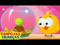 Lucky Ducky E O Pote De Peixe Desenho Animado Divertido Por Campo Das Crianças 
