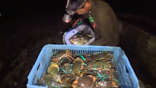 mencari kepiting jumbo di malam hari dan alhamdulilla hasilnya sebanyak ini