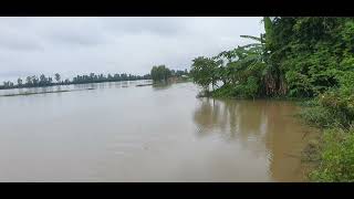 rc boat 66 dongthap cat 92 cm twin 135 km/h