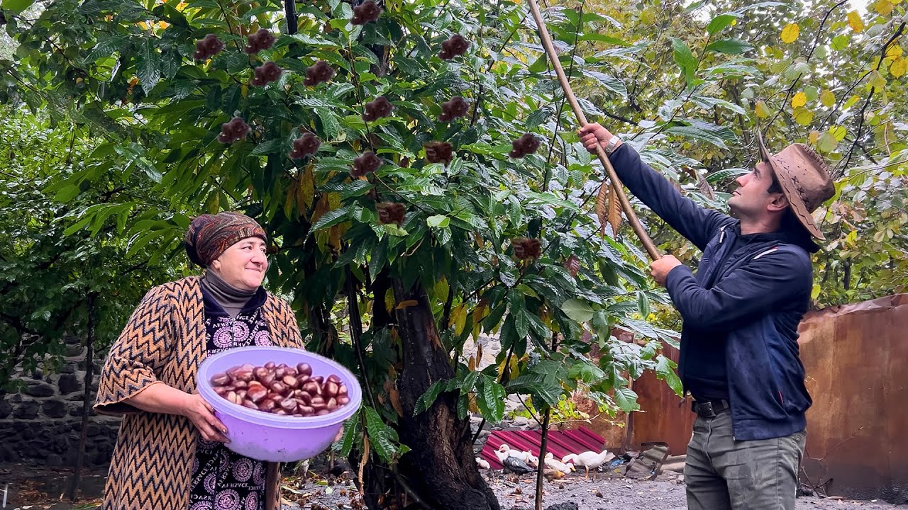 THE ULTIMATE RAINY VILLAGE FEAST! 🔥 Grandma Cooks 25KG Whole Lamb & Chestnut Pilaf 🌧️🌰