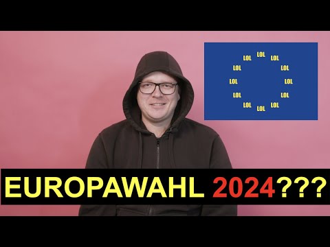 Why I'm not running in the European elections again