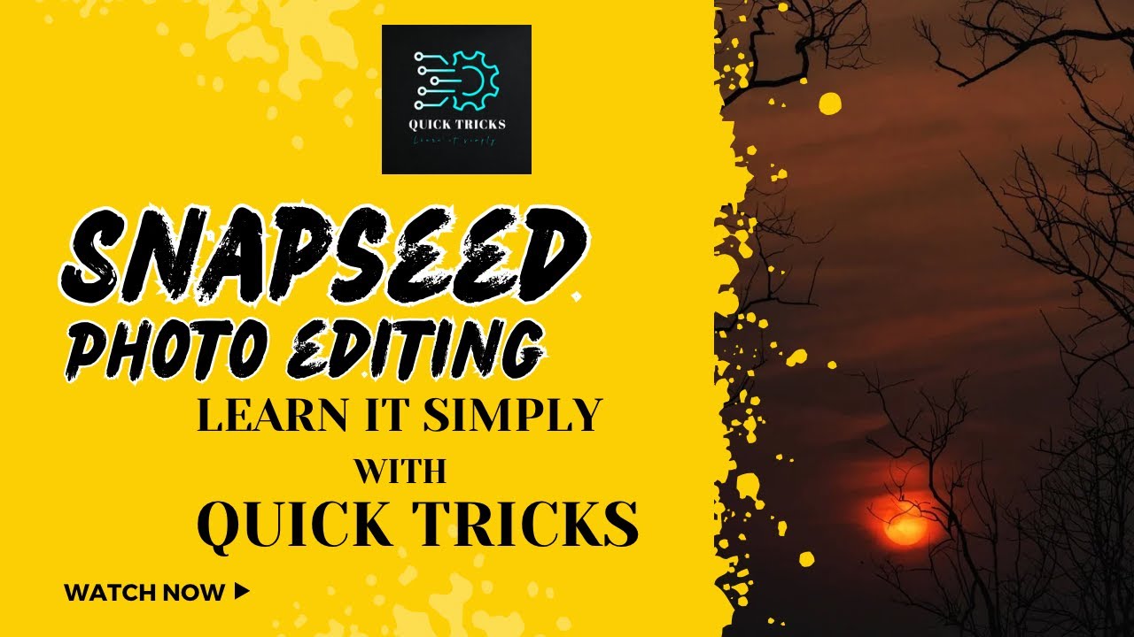 How to create filter or save a present in Snapseed smartphone app & do