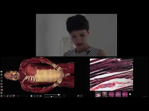 ინტეგრირებული სწავლების მეთოდი