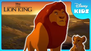 King Mufasa Teaches Simba How To Rule | The Lion King | Disney Kids by Disney Kids 114,132 views 3 months ago 1 minute, 16 seconds