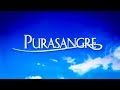 Purasangre Purasangre 