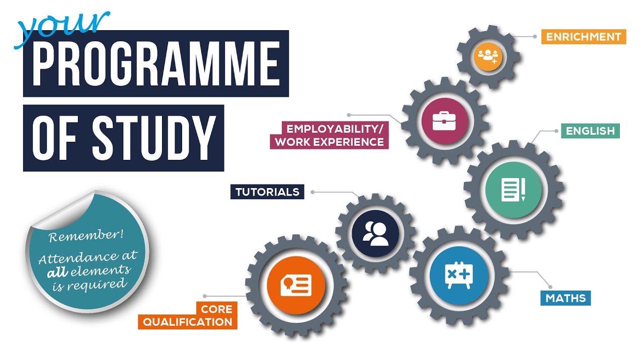 programme of study research