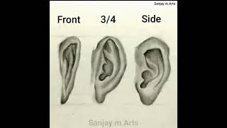 Front, 34, Side Ear Drawing