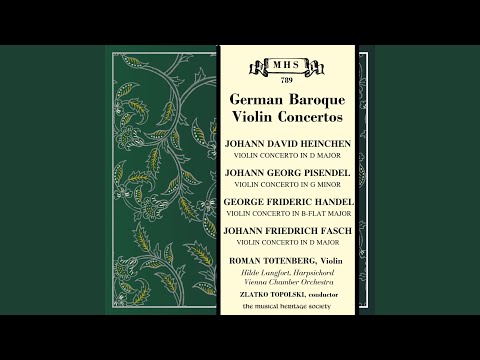 Violin Concerto in D Major, S. 224: I. Allegro