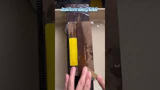 Just how sharp is it?#asmr #sharpening #diy #forgedbyhand