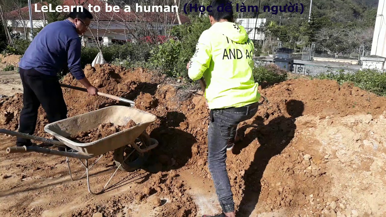 3HTV _ Labor education (Công tác giáo dục lao động ... cover life)