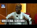 Senate Grills Babatunde Fashola