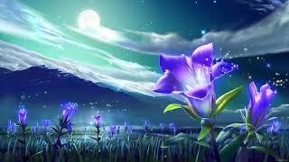 4.24 HOUR of Relaxing Music: Meditation Music, Instrumental Music, Calming Music, Soft Music screenshot 4
