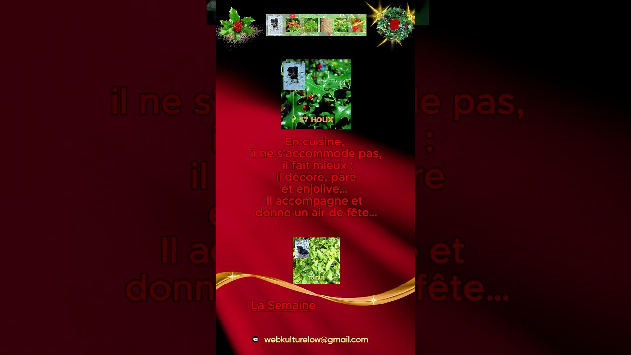 77 HOUX en Bref + Spoiler Alert