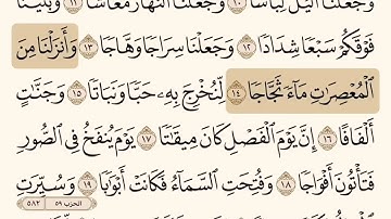 سورة النبأ من ١ إلى ٢٠ بصوت الشيخ إبراهيم الأخضر (اليوم الأول)