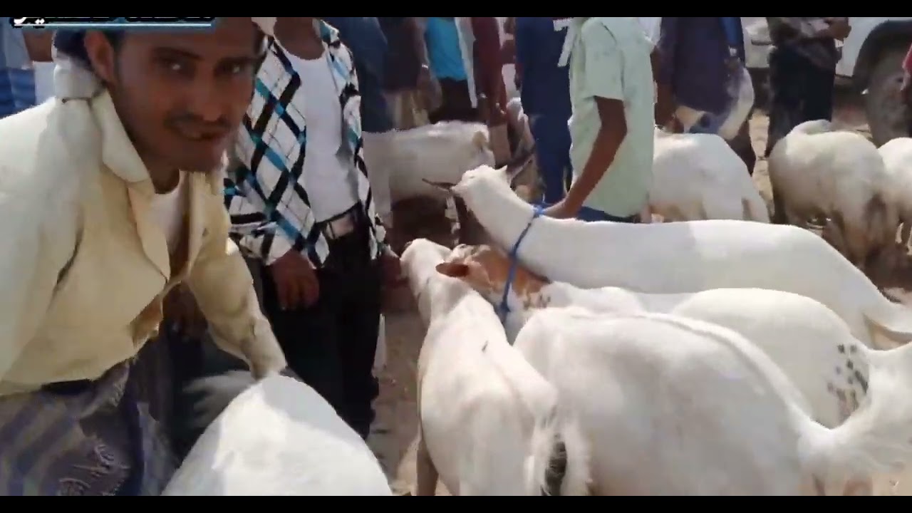 سوق الربوع مطوله. يوم الاحد في مدينة عبس 🌼اشتركو من شان يوصلكم جديد 😊