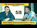 Анатомия бухучета. Активы Баланса 5/8