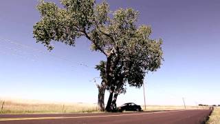 Dark Cotton - Official Teaser Trailer