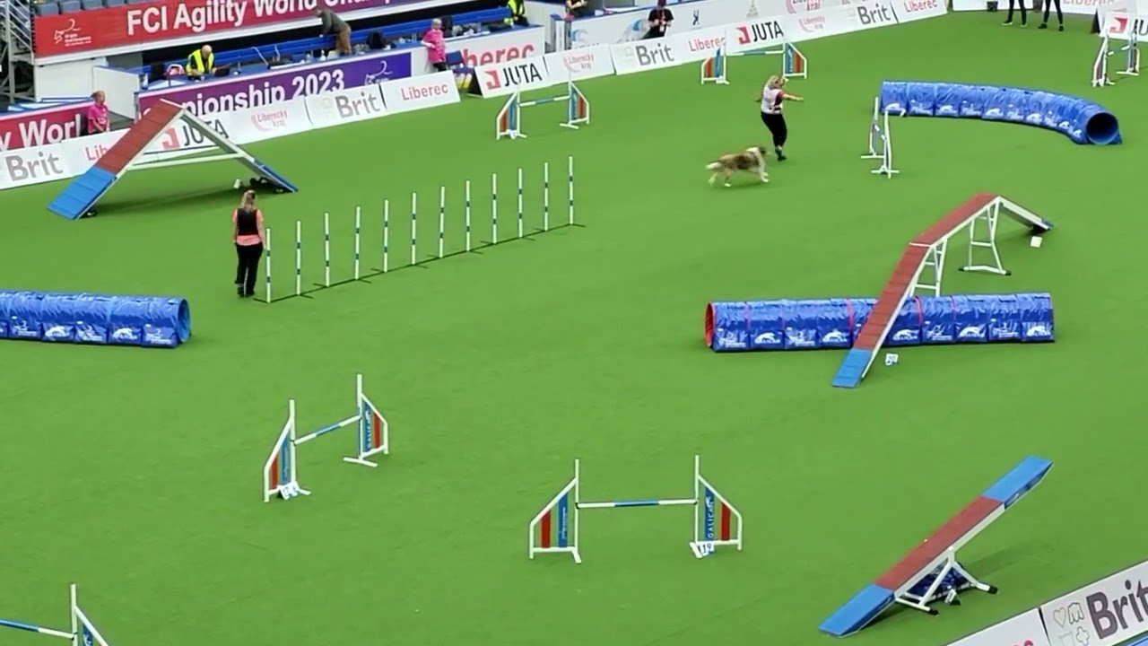 AFA Agility Large Individual INGA PETROVA, FCI AWC 2023