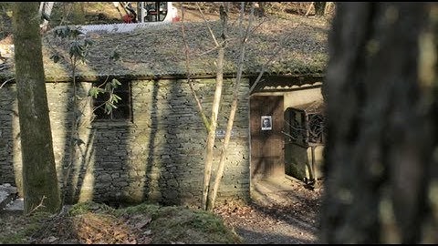 Contemporary Responses to Kurt Schwitters | TateShots