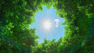 Tenangkan Sistem Saraf Anda 🍀 Suara Alam yang Menyembuhkan untuk Meredakan Kecemasan